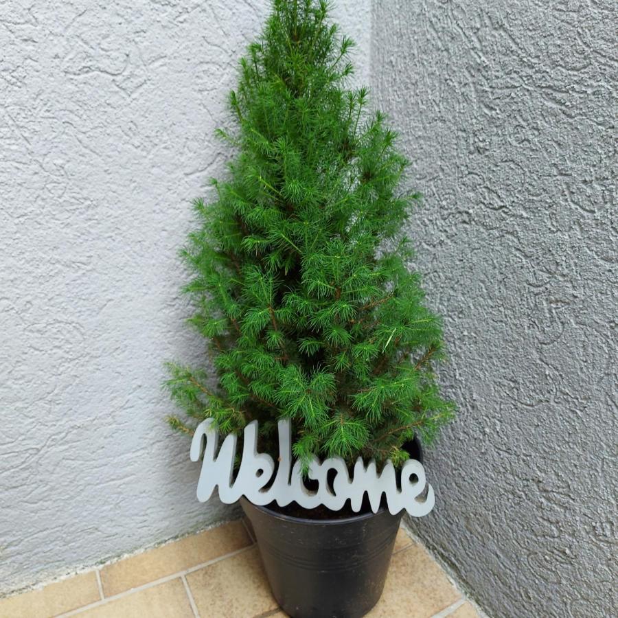 Feels Like Home @ Eppinger Remseck am Neckar Ngoại thất bức ảnh